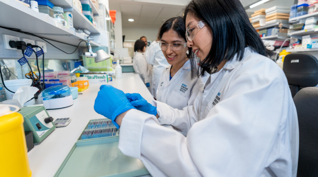 Cabrini researchers Dilys and Jasveena