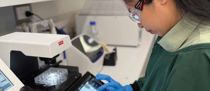 Cabrini-Research-banner-800x350-Female-Researcher-Annual-Report-24-25