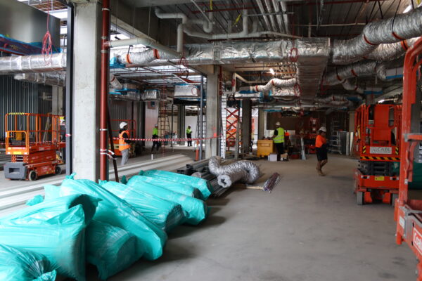 Roofing bats and construction workers