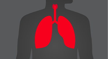 Red Lungs in a drawn body