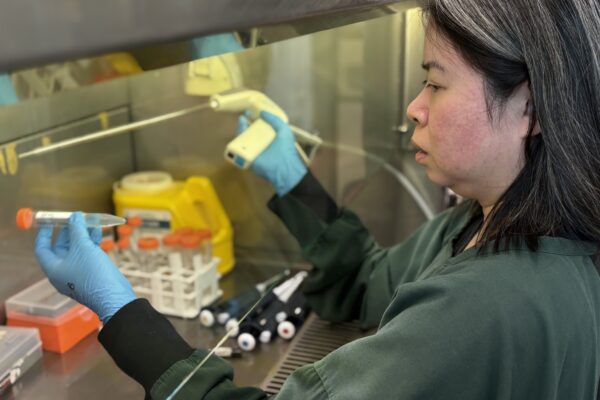 Ovarian organoids Papa Lab researcher - Dr Sylvia Mahara