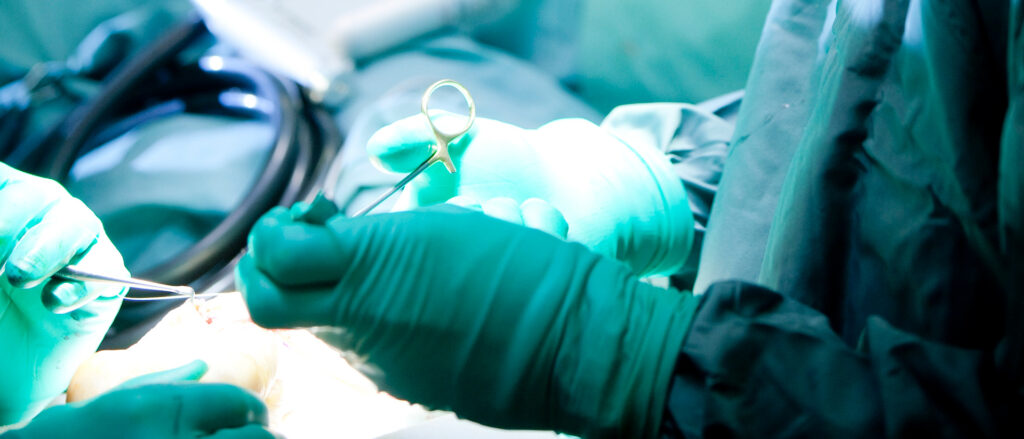 Plastic-surgeon-Nick-Houseman-hands-1920x823