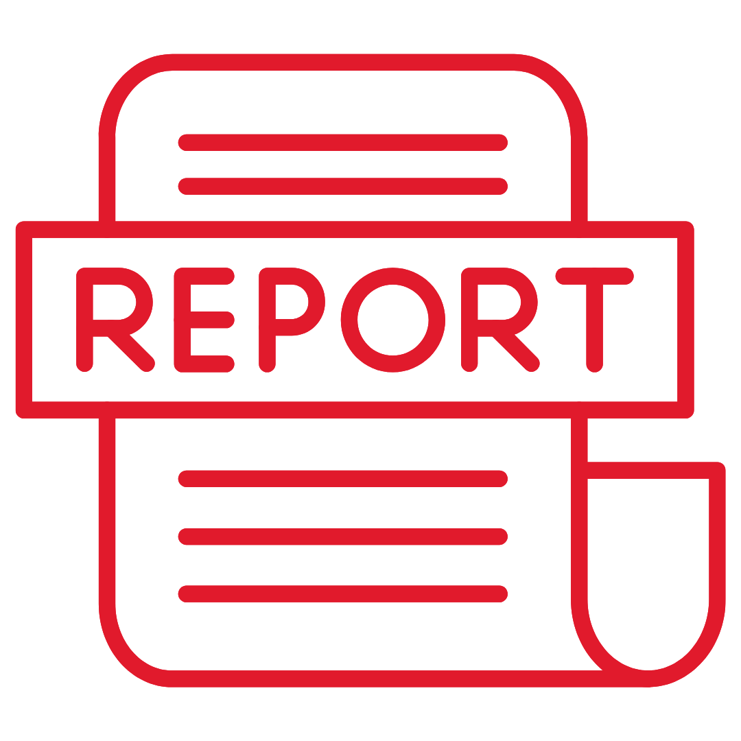 Report Icon