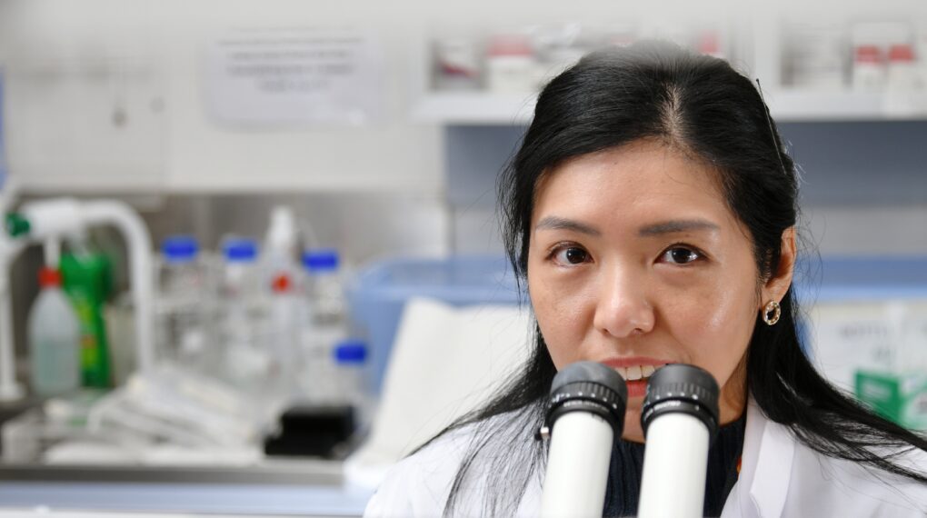 Research-Medical-Oncology-General-Dilys-Leung