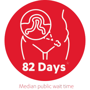 A diagram showing an inguinal hernia in need of repair as well as the median wait time for hernia repair